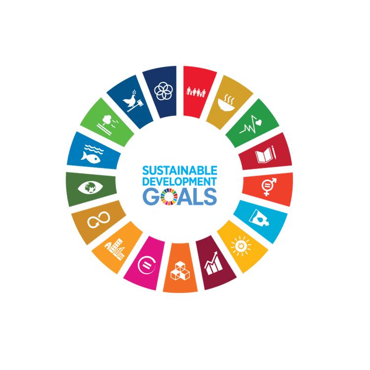 UN SDG Logo